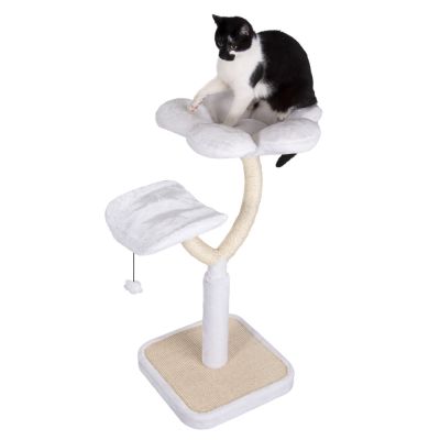 arbre a chat white flower